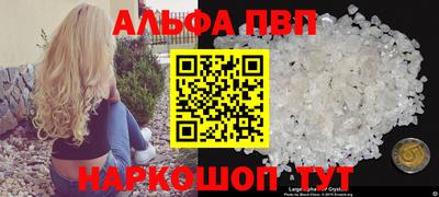 эйфоретик Кингисепп