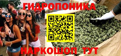 стафф Кимры
